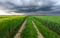 Storm clouds over field and road Royalty Free Stock Photo