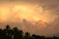 Storm clouds over forest at sunset Royalty Free Stock Photo