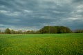 Storm clouds over a green meadow with yellow flowers Royalty Free Stock Photo