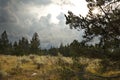 Storm clouds over sagebrush, pine trees, and distant mountains, Jackson Hole, Wyoming. Royalty Free Stock Photo