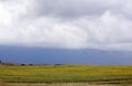 Storm Clouds Over Sunflowers