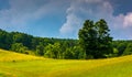 Storm clouds over a tree and a field in the rural Potomac Highlands of West Virginia. Royalty Free Stock Photo