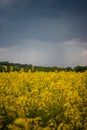 storm clouds over a yellow rape field Royalty Free Stock Photo