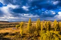 A storm comes in over the hills in the Karoo