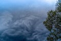 The storm is coming. Storm clouds above the tree. Heavy torrential rain. Rainfall flash flooding . Metorology weather forecast.