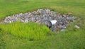 Storm culvert surrounded by rocks and grass