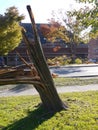 Storm damage: broken trees - v