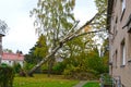 Storm damage with fallen birch and damaged house after hurricane Herwart in Berlin