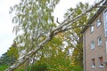 Storm Damage With Fallen Birch And Damaged House After Hurricane Herwart In Berlin