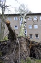 Storm damage after hurricane Herwart in Berlin, Germany