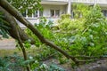 Storm damage with fallen tree, which narrowly missed a house after heavy wind in Berlin