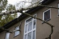 Storm damage after hurricane Herwart in Berlin, Germany