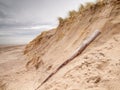 Storm Damaged Dune Royalty Free Stock Photo