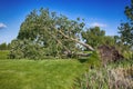 Storm Damaged Golf Course