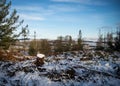 Snow covered storm damaged landscape