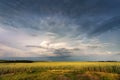 Storm dark clouds over field. Thunderstorm over a wheat field Royalty Free Stock Photo