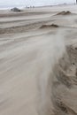 Storm day at the beach of Bloemendaal aan Zee, Netherlands Royalty Free Stock Photo