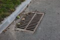 Storm drain grate on the road next to the lawn Royalty Free Stock Photo