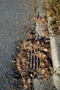 Storm drain surrounded by dead leaves, not ready for winter storms, residential street and curb