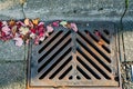 Storm drain