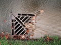 Storm drains Flooding Autumnal leaves Royalty Free Stock Photo