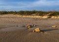 Storm Erosion on Florida Sand Dunes Royalty Free Stock Photo