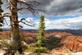 Storm fast approaching in Grand Canyon Royalty Free Stock Photo