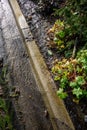 After the storm, floodwater and storm debris on a sidewalk on a sunny day Royalty Free Stock Photo