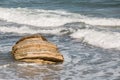 The storm sea wave washing a stones. Royalty Free Stock Photo