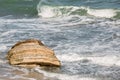 The storm sea wave washing a stones. Royalty Free Stock Photo