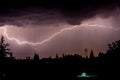 Storm in forest