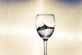 Storm in a glass with white wine Royalty Free Stock Photo