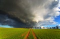 Before the storm, and gold field