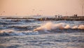 Storm, gulls on the coast of the Black Sea, the river Rioni, Pot