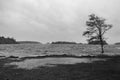 Storm on a lake, black and white picture