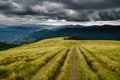 Before the storm in the mountains Royalty Free Stock Photo