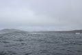 Storm in Newfoundland Ocean in canada during may Royalty Free Stock Photo
