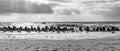 Storm on the North Sea, waves hitting the breakwater concrete tetrapods on the beach, Sylt, Germany