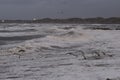 storm in Nr. Vorupoer on the North Sea coast in Denmark