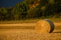 Straw bales in a cereal field in the sunset, stormy day Royalty Free Stock Photo