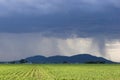 Storm over corn field Royalty Free Stock Photo