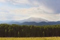 Storm over distant mountains with a pine forest in the foreground, Flagstaff, Arizona. Royalty Free Stock Photo