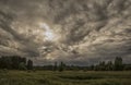 Storm over the forest