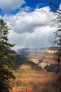 Storm Over the Grand Canyon Seen Through Trees Royalty Free Stock Photo