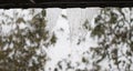 Storm rain and Dripping raining down flowed through from roof house in the dark sky on day of storm in Thailand