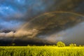 Storm and Rainbow Over Sugar Cane Farm Royalty Free Stock Photo