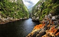 Storm River Mouth