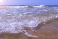 Sea with long big stormy waves and dirty water in sand beach at sunny day. Royalty Free Stock Photo