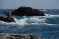 Storm of the sea on the stone beach