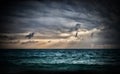 Storm on the sea Royalty Free Stock Photo
